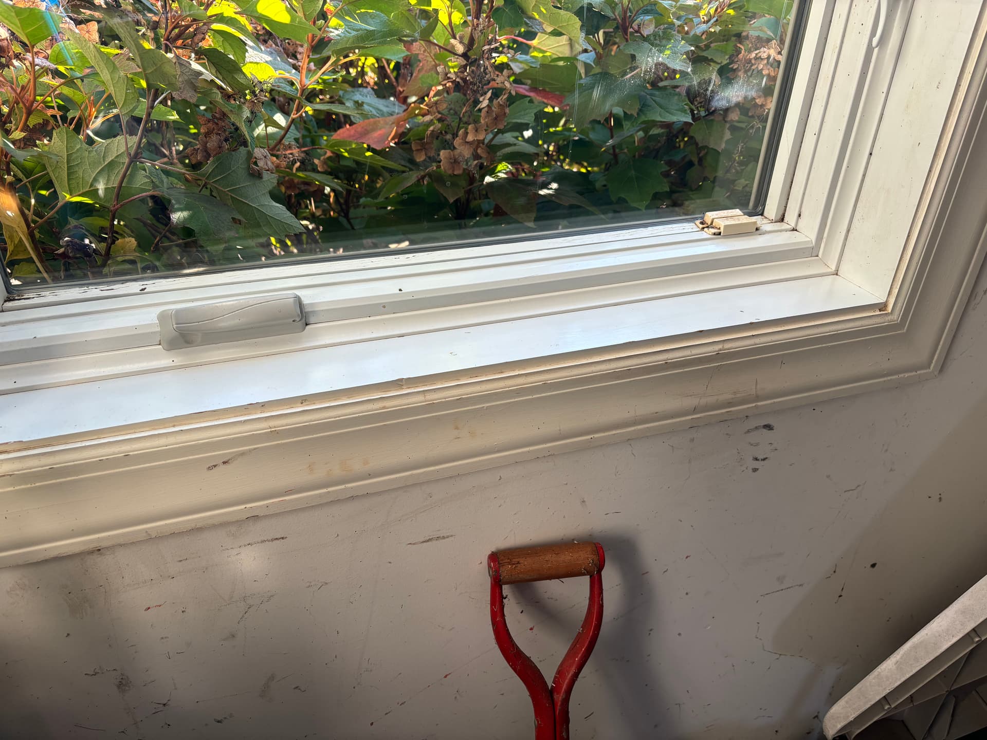 Bug Residue and Grime No Match for This Lancaster Window Wash