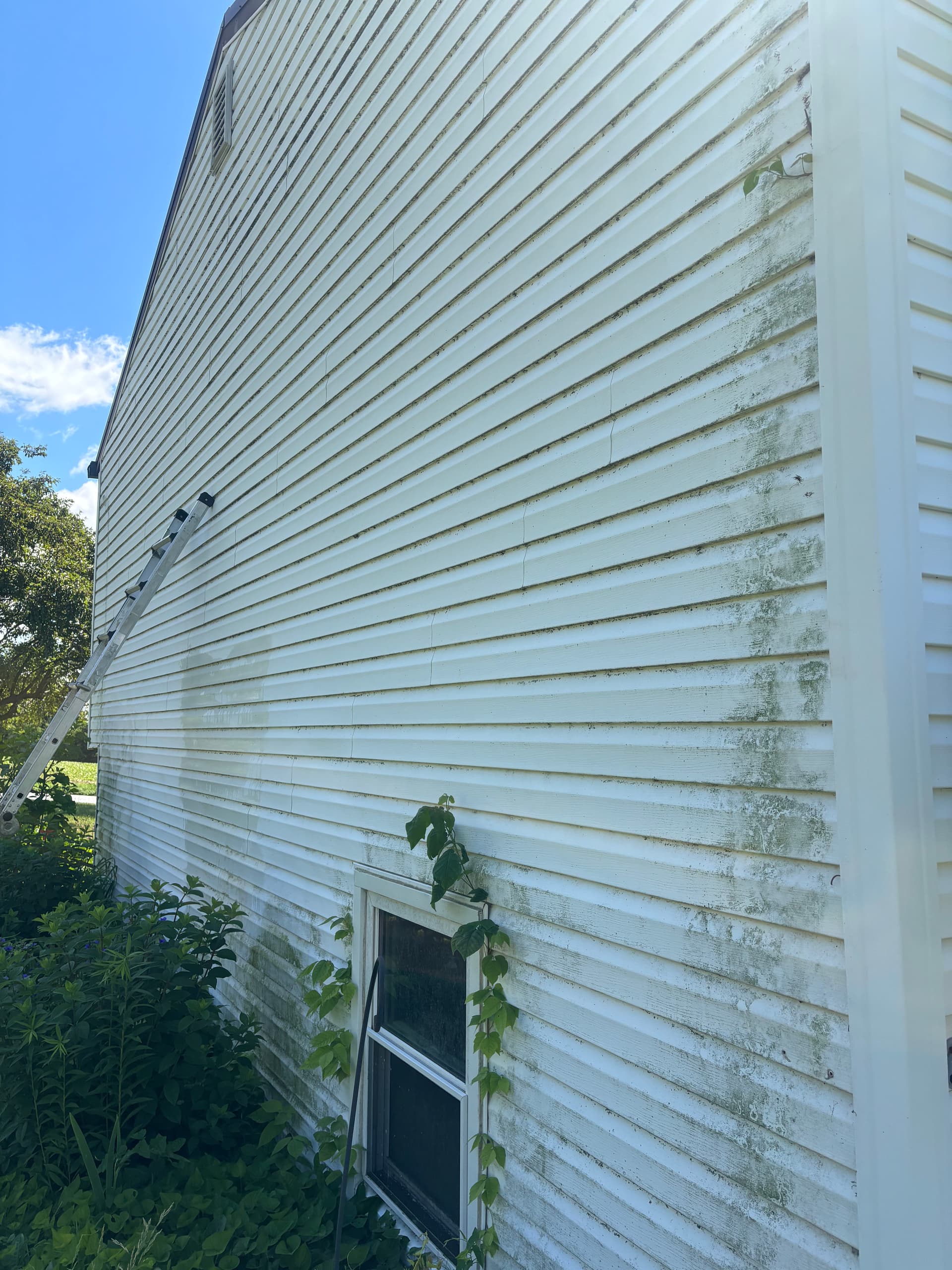 Gallery photos for Solar Panel Cleaning and Soft Wash House Siding in York: Image #2
