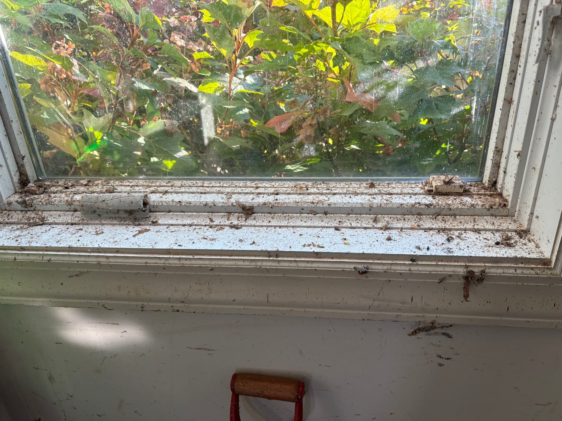 Bug Residue and Grime No Match for This Lancaster Window Wash