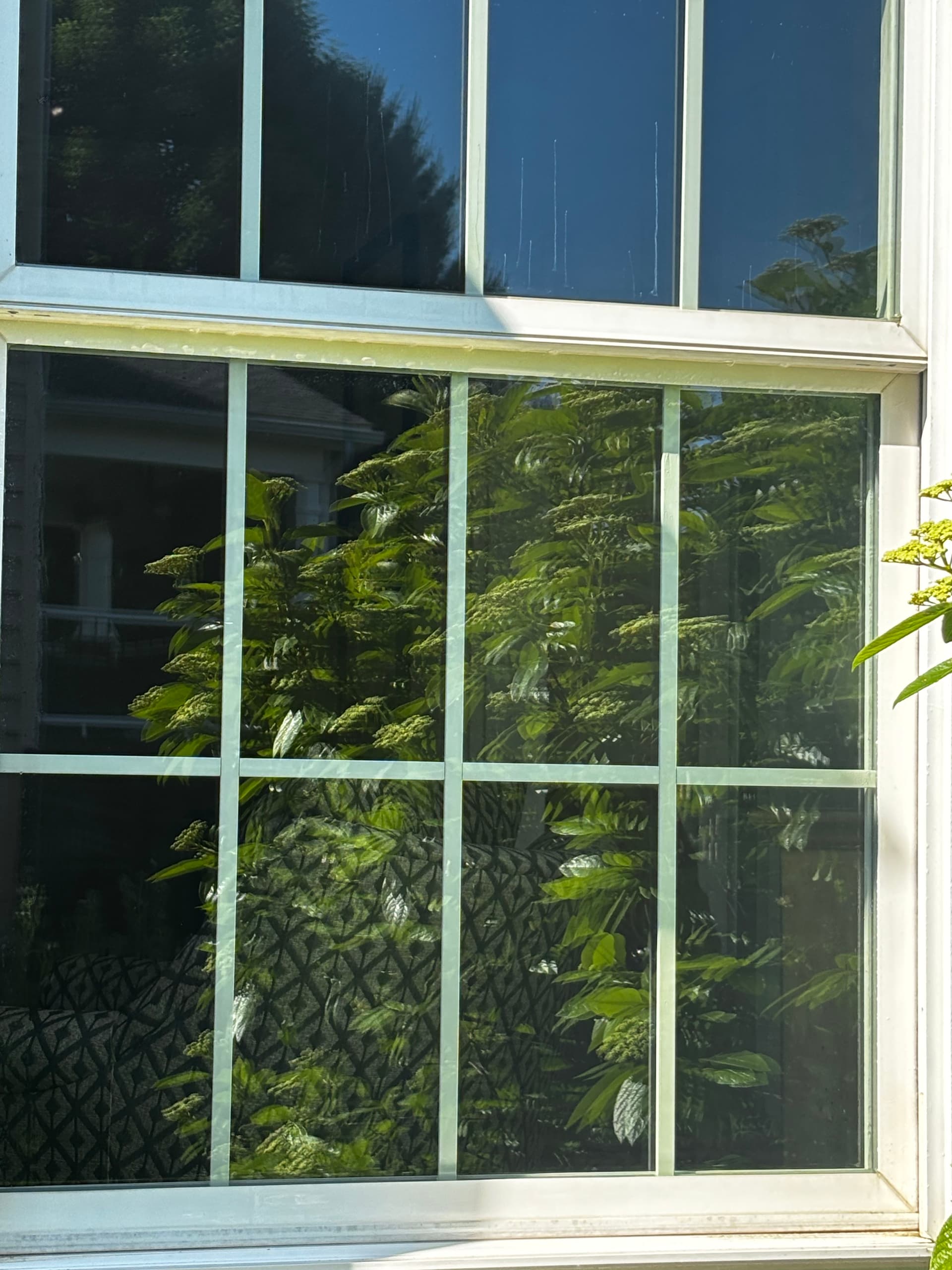 Gallery photos for Pollen Season Window Cleaning Done Right in Lititz: Image #1