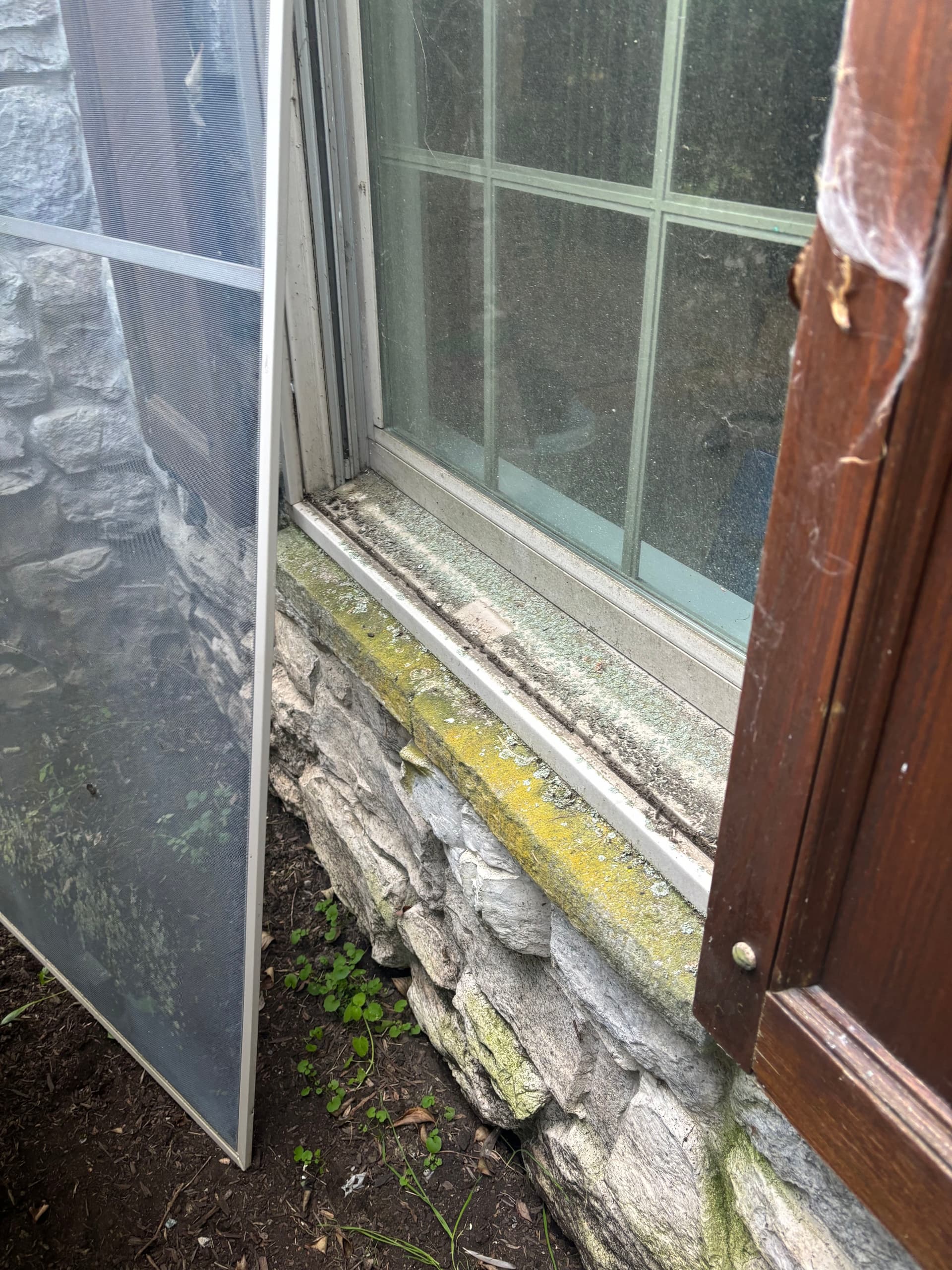 Gallery photos for Bug Residue and Grime No Match for This Lancaster Window Wash: Image #7